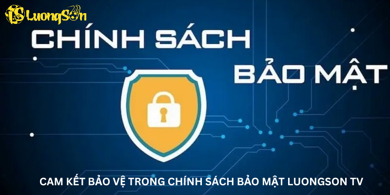 Cam kết bảo vệ trong chính sách bảo mật Luong son
